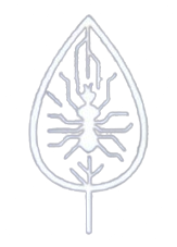 OSG Web